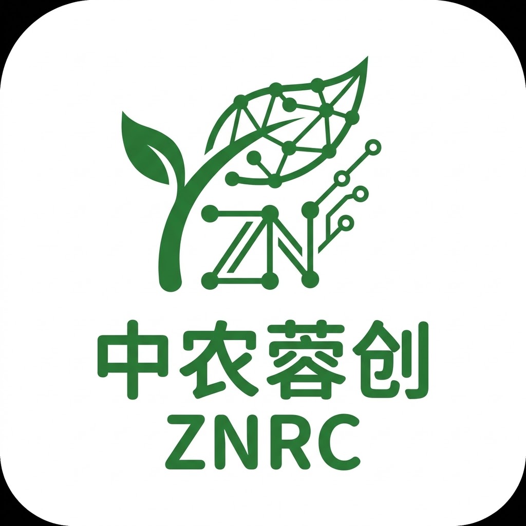 首页